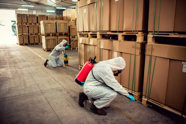 Best Ant Control Services  in Nroe City, MO