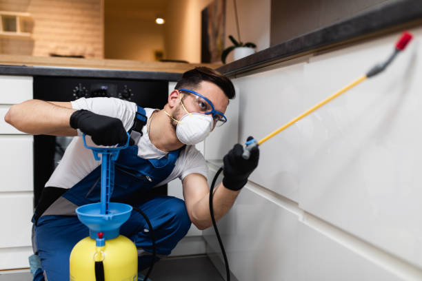  Nroe City, MO Pest Control Pros