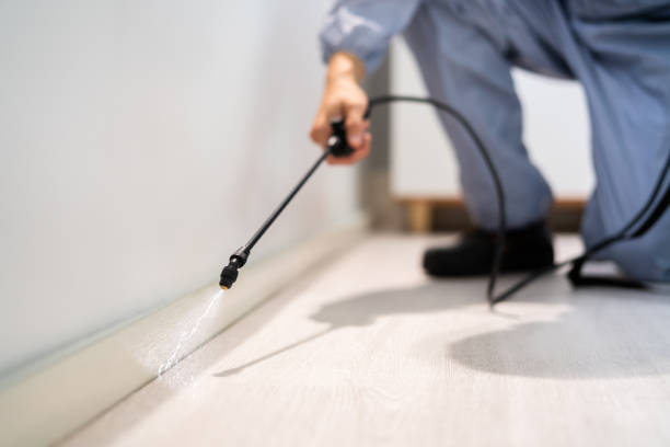 Pest Control for Restaurants in Monroe City, MO
