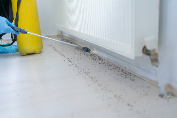 Best Emergency Pest Control  in Nroe City, MO