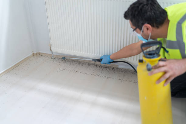Best Bed Bug Extermination  in Nroe City, MO